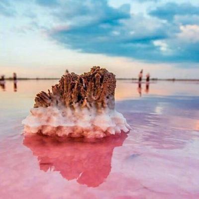 明星志愿3手机版下载