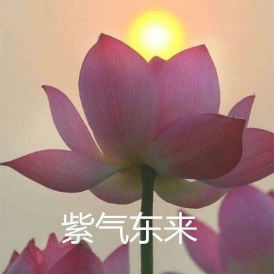 封天传单机游戏下载