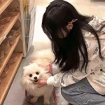 坦克大乱斗online游戏下载